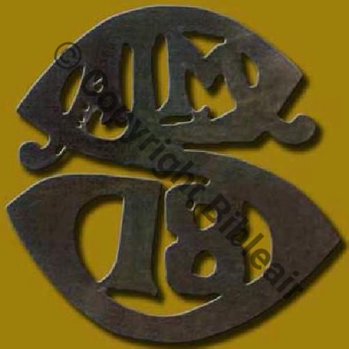 A1543  1918 SAL.18 INS PATTE EPAULE MDL CAMILLE SERUSCLAT 1918.19 Src.D.ALBIN via Ph.SERUSCLAT 